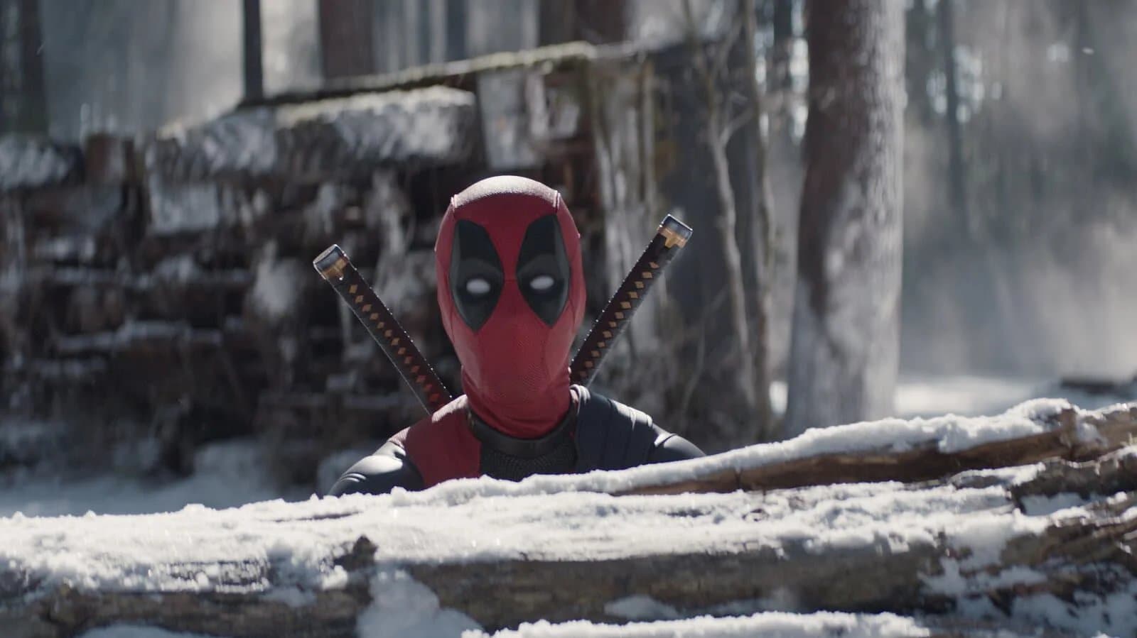 A masked figure in a red and black costume, wielding two swords on their back, peeks over a snow-covered log in a forest setting with trees in the background.