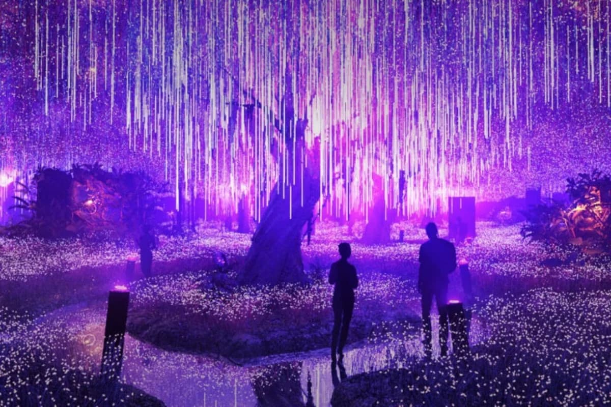 Two silhouetted figures stand in a surreal, illuminated landscape featuring cascading vertical light strands and a surrounding glow of purple and pink hues, resembling a magical forest.