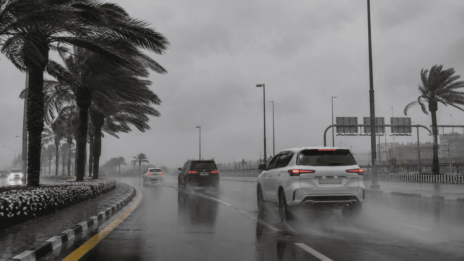 Cars driving on a rainy palm-lined road with spray and low visibility