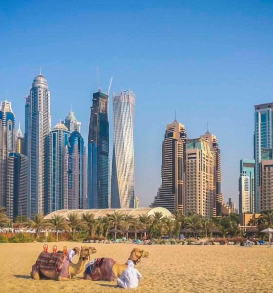 106 Amazing Things to Do in Dubai in 2024