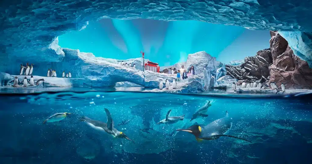 SeaWorld Abu Dhabi