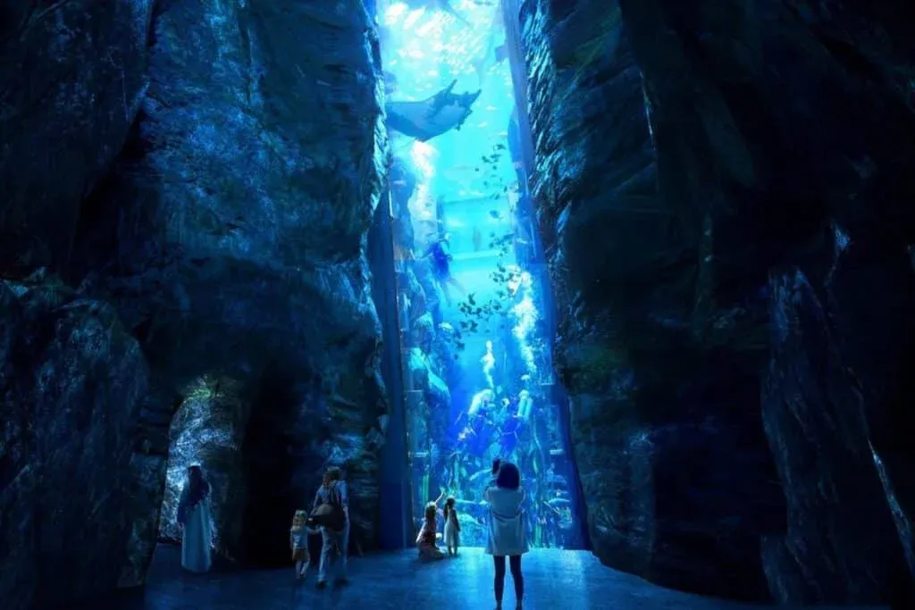 An underwater scene viewed through a tall aquarium, showcasing divers and various fish amidst vivid blue tones and rock-like structures, with people observing from the entrance.