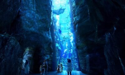 SeaWorld Abu Dhabi has visitors from around the world