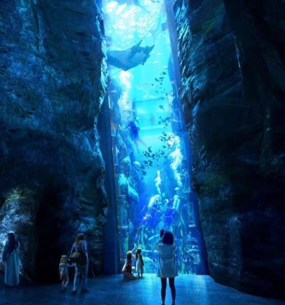 SeaWorld Abu Dhabi has visitors from around the world