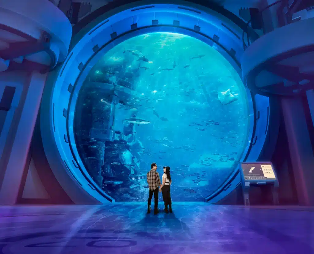 The wonders of the sea await