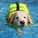 hydrotherapy hero