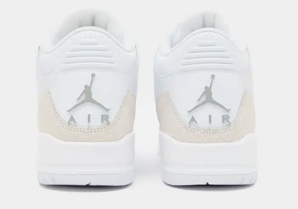 Air Jordan 3 “Pure Money” 5
