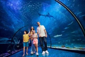 A family of four, including two children, is exploring an underwater aquarium tunnel with an array of fish swimming above them, including a shark. The adults are smiling, wearing casual clothing, while the children are holding colorful toys.