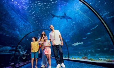 Family fun during the Summer in UAE