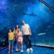 Family fun during the Summer in UAE