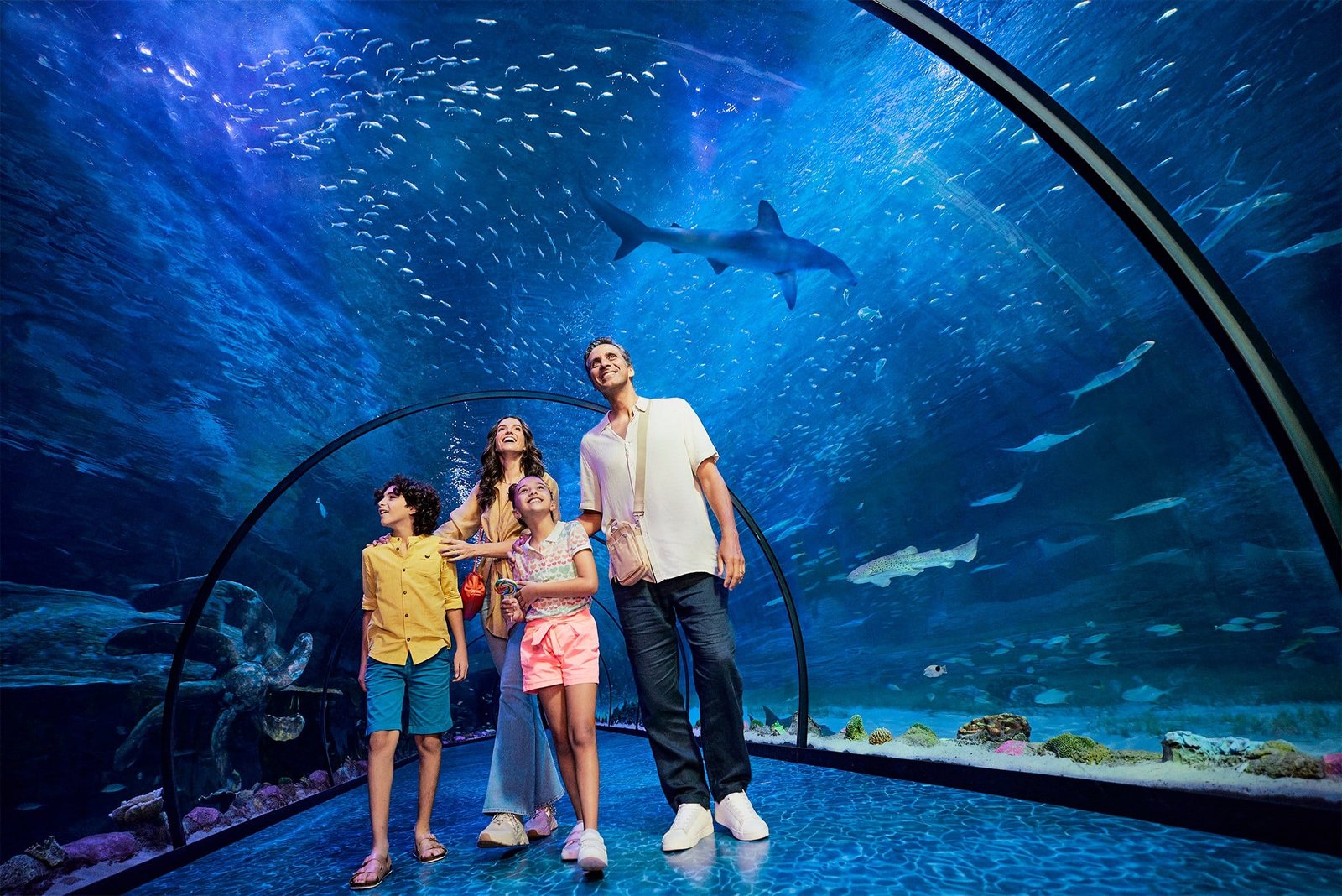 Family fun during the Summer in UAE