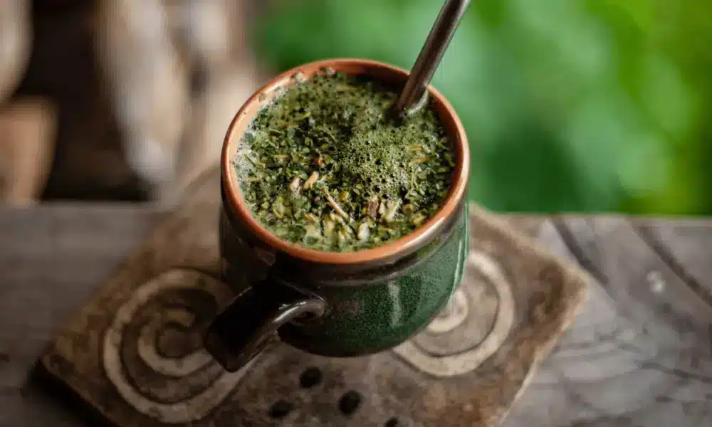 Yerba Mate The Ultimate Guide