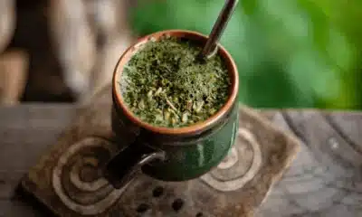 Yerba Mate The Ultimate Guide