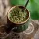 Yerba Mate The Ultimate Guide