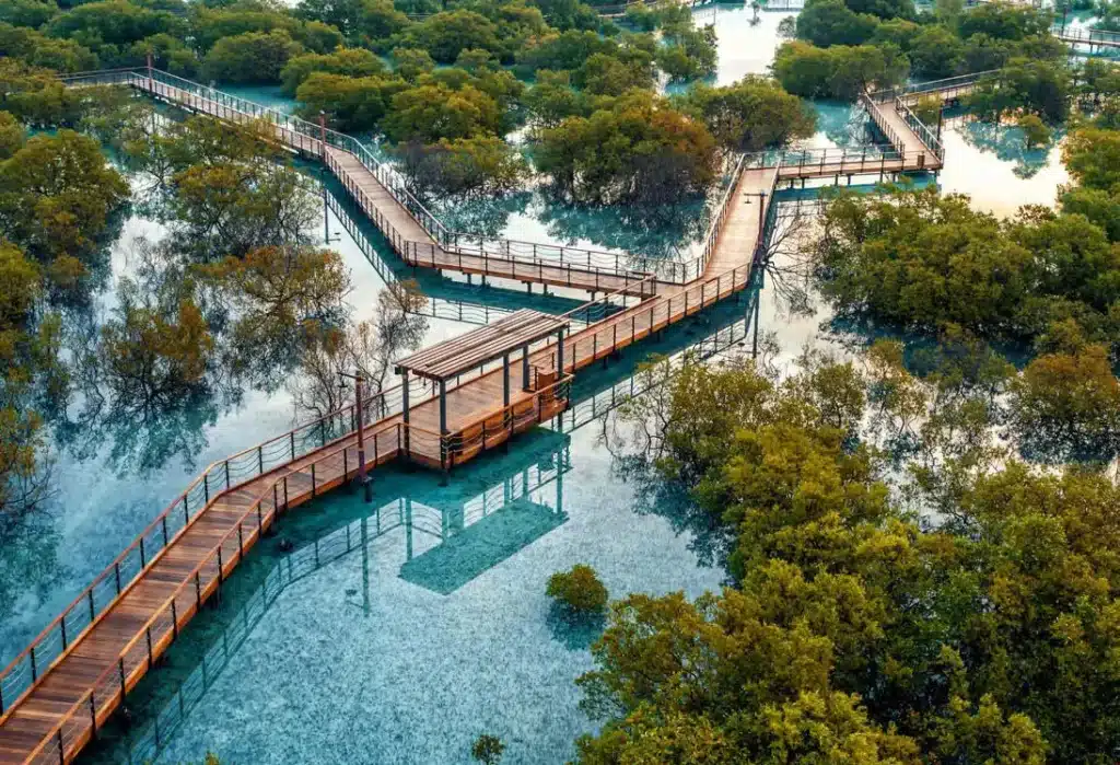 Aerial view of a winding wooden boardwalk over a serene body of water, surrounded by lush green trees and mangroves.