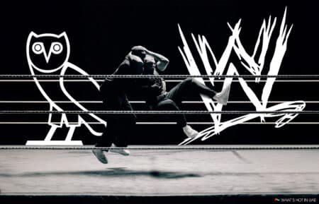Two wrestlers in mid-action in a ring, with a stylized owl and "W" logo in the background.