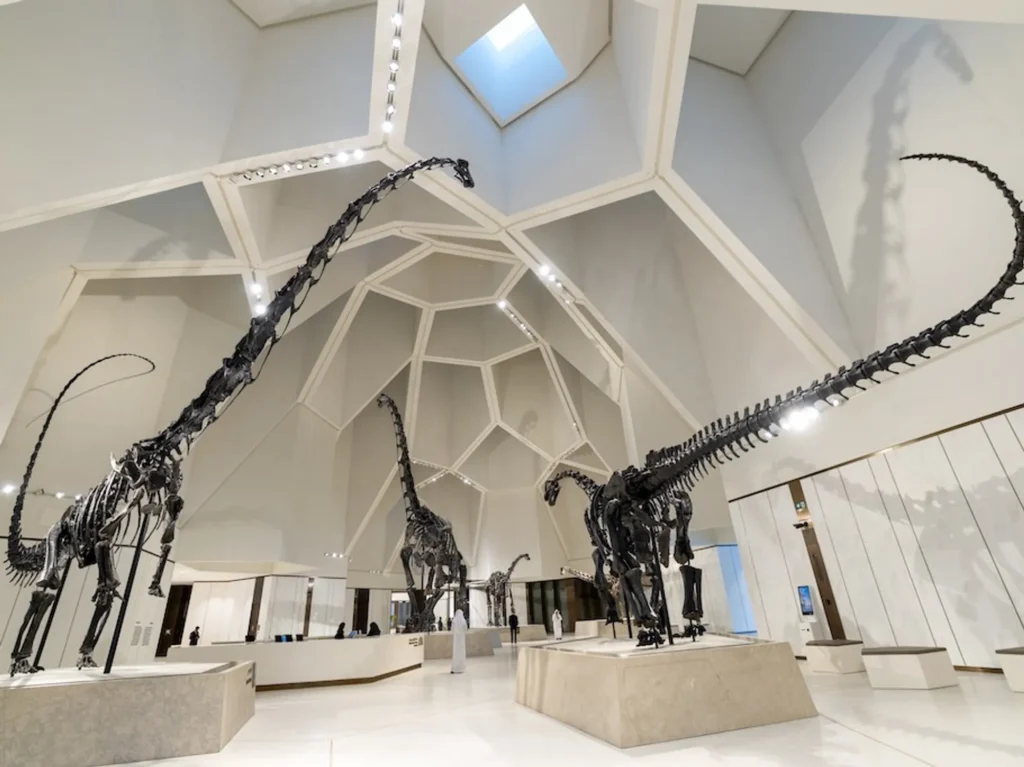 Dinosaur skeletons displayed in a modern, bright museum with a geometric ceiling design.