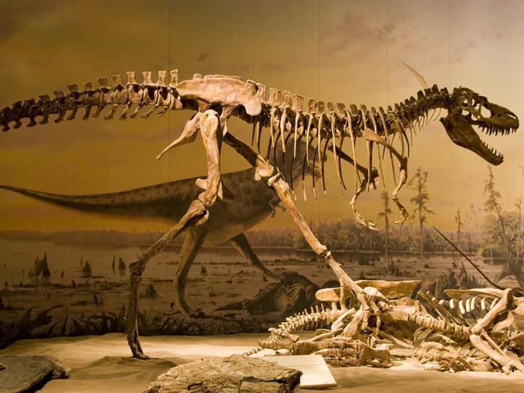 Dinosaur skeleton exhibit in a museum, featuring a large theropod against a mural of prehistoric landscape.