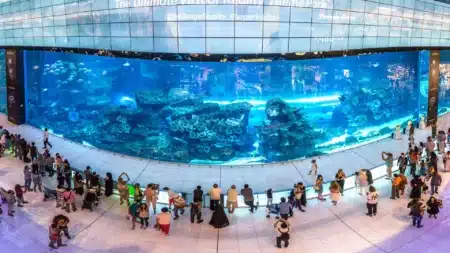 A large crowd gathers in front of a massive indoor aquarium with colorful marine life, surrounded by a modern shopping mall interior.