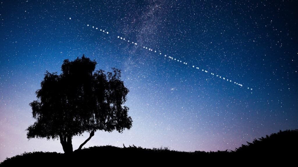 A tree silhouette against a starry night sky with a dotted line of stars or Starlink UAE satellites crossing diagonally.
