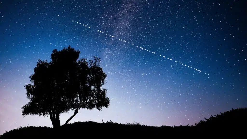 A tree silhouette against a starry night sky with a dotted line of stars or Starlink UAE satellites crossing diagonally.