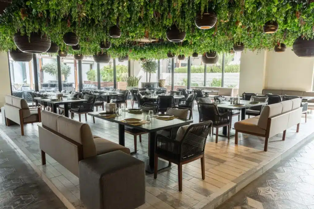 A modern TERRAMAR DUBAI restaurant interior with tables and chairs, plants hanging from the ceiling, and large windows offering natural light.