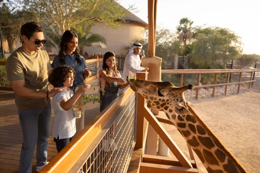 Family feeding a giraffe at a zoo deck during sunset