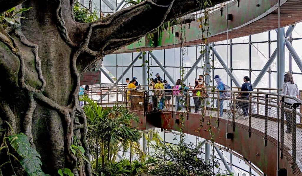 Visitors walk along a curved indoor bridge beside a massive tree trunk in a lush atrium