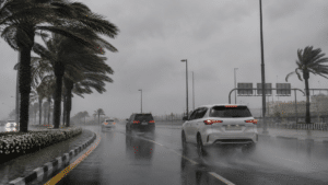 Cars driving on a rainy palm-lined road with spray and low visibility