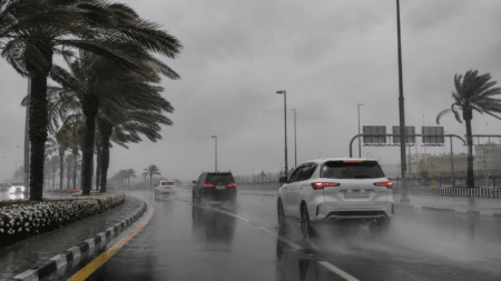 Cars driving on a rainy palm-lined road with spray and low visibility