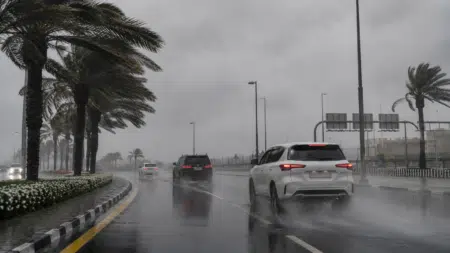 Cars driving on a rainy palm-lined road with spray and low visibility