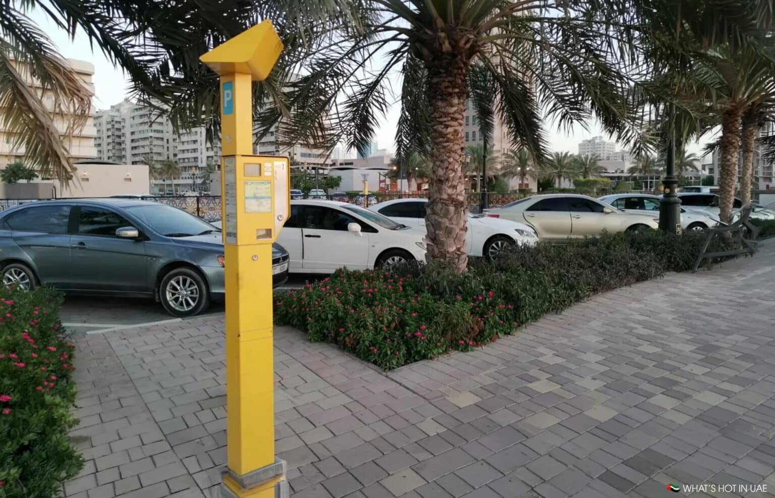 Yellow parking payment kiosk beside parked cars and palm trees on a paved street in a city lot