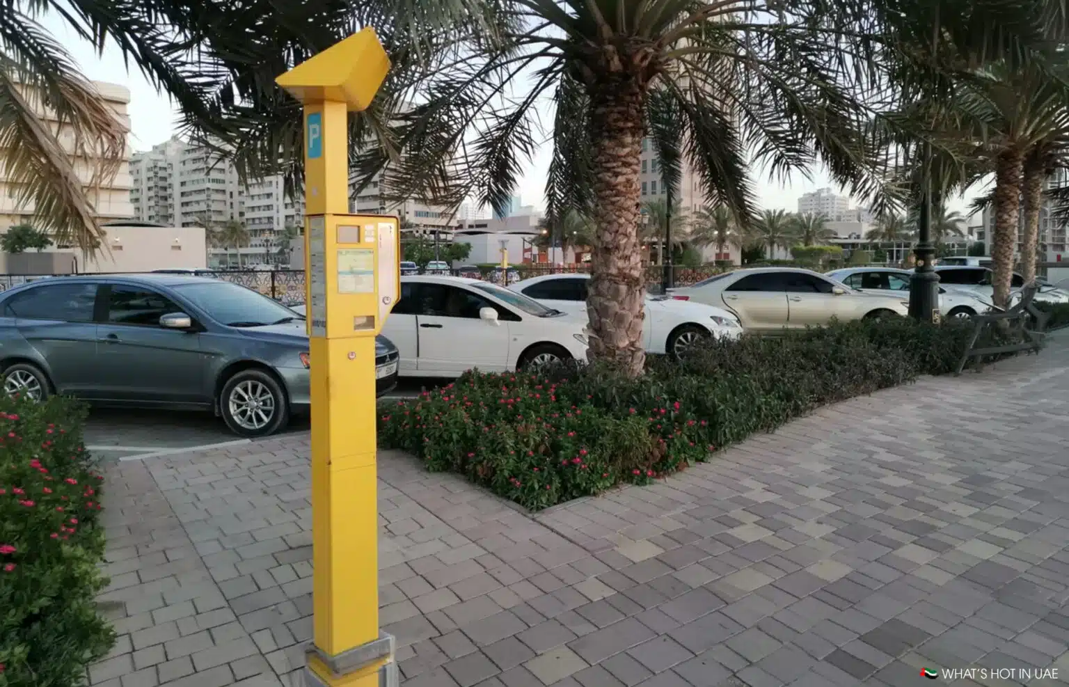 Yellow parking payment kiosk beside parked cars and palm trees on a paved street in a city lot