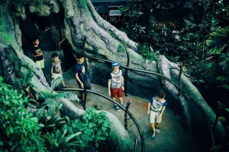 Five boys walking along a winding path through lush jungle-like foliage and giant tree roots