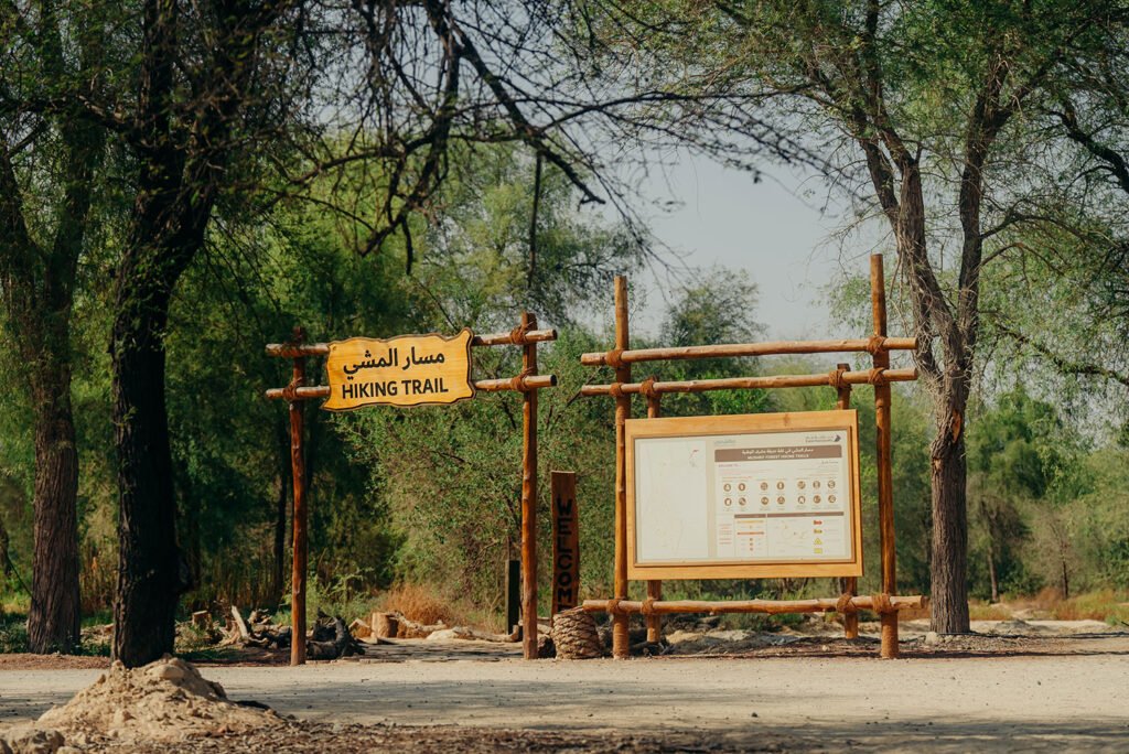 Forest hiking trail entrance with wooden signs and a trail map board among trees