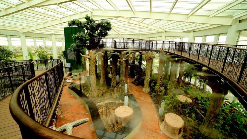 Indoor botanical garden with elevated walkways around trees and plants under a glass roof