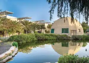 A landscaped pond reflects a dome-shaped building and modern villas surrounded by palm trees